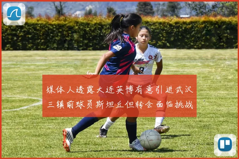 媒体人透露大连英博有意引进武汉三镇前球员斯坦丘但转会面临挑战
