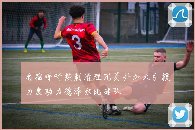 名宿呼吁热刺清理冗员并加大引援力度助力德泽尔比建队