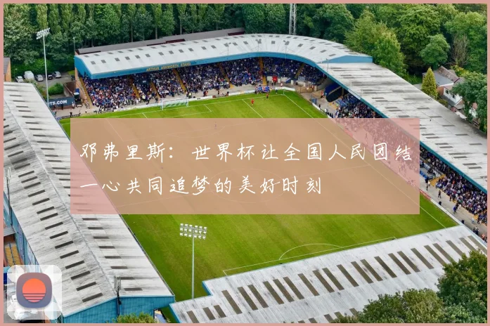邓弗里斯：世界杯让全国人民团结一心共同追梦的美好时刻